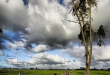 瑞典超第10轮埃尔夫斯堡vs尤尔加登，这场北欧对决谁能笑到最后？